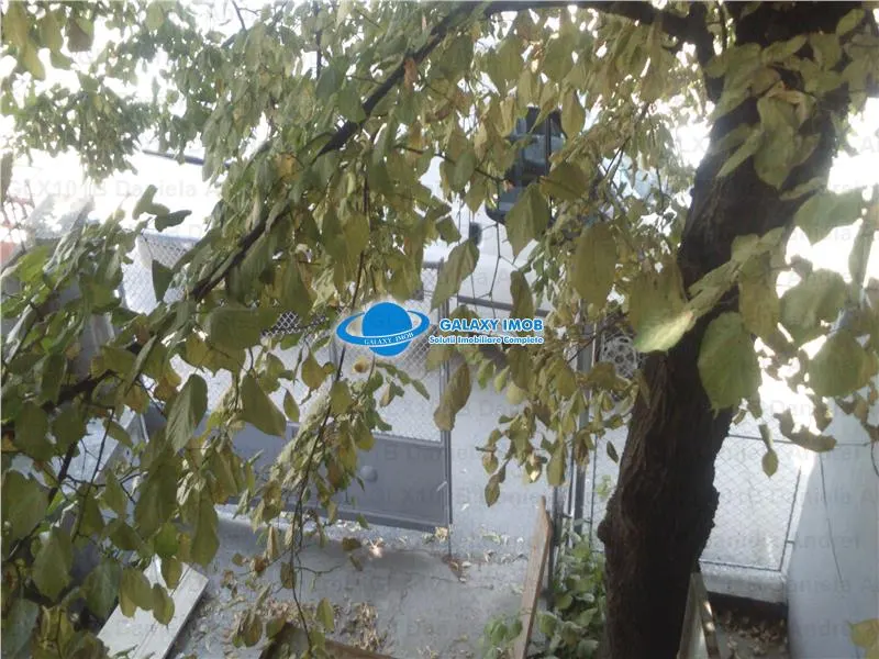 Inchiriere Vila , Zona Stefan cel Mare , Vasile Lascar - foto 10