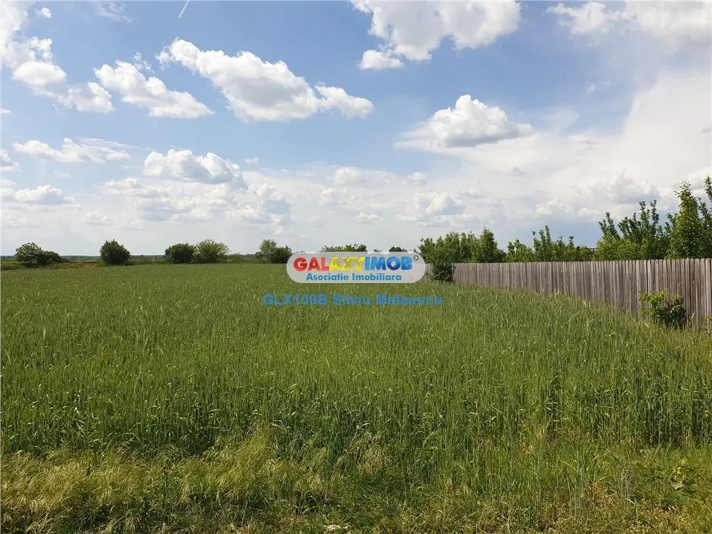 Crevedia - Darza - Teren 13.055 Mp - foto 12