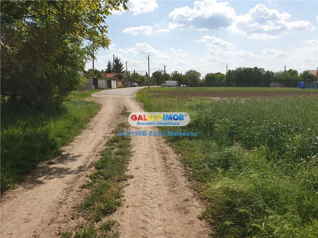 Crevedia - Darza - Teren 13.055 Mp - foto 15