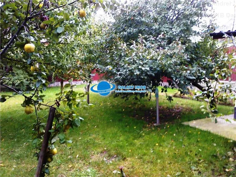 Vanzare vila noua 2003,curte de 1000mp -Zona Pipera  330000 Euro - foto 4