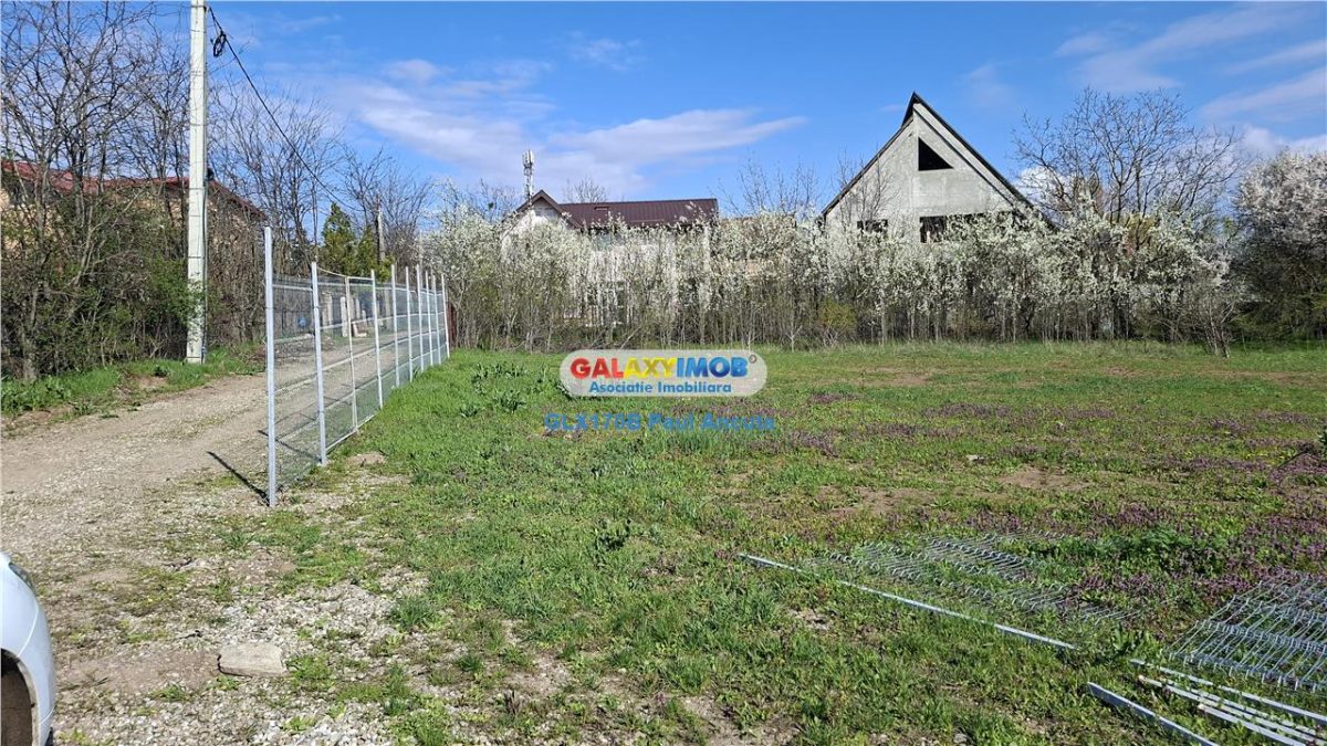 Vand lot casa 1246 mp Balotesti Saftica str Ciocarliei utilitati - foto 3