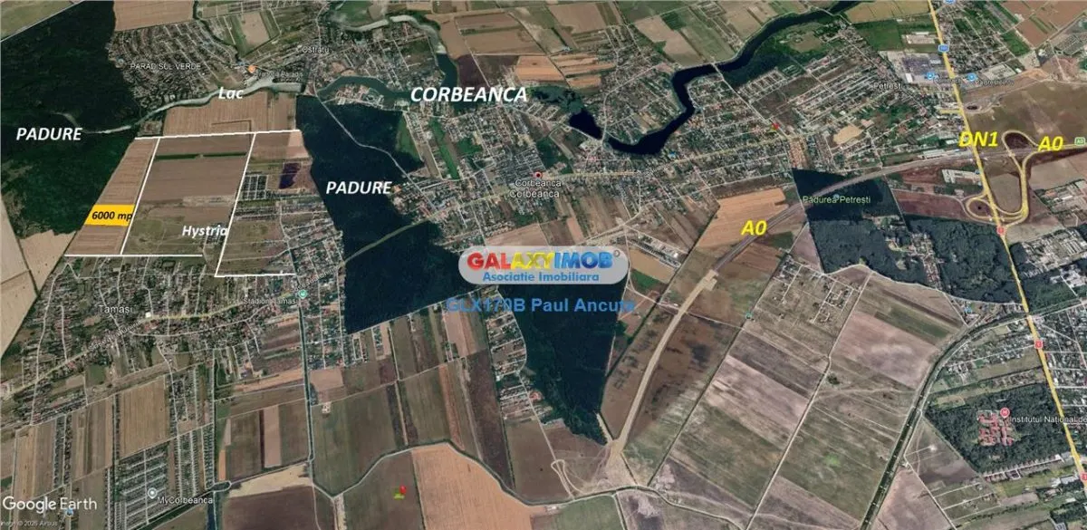 Teren 6000 mp Latura Padure Corbeanca   cartier Corbeanca Parc - foto 4