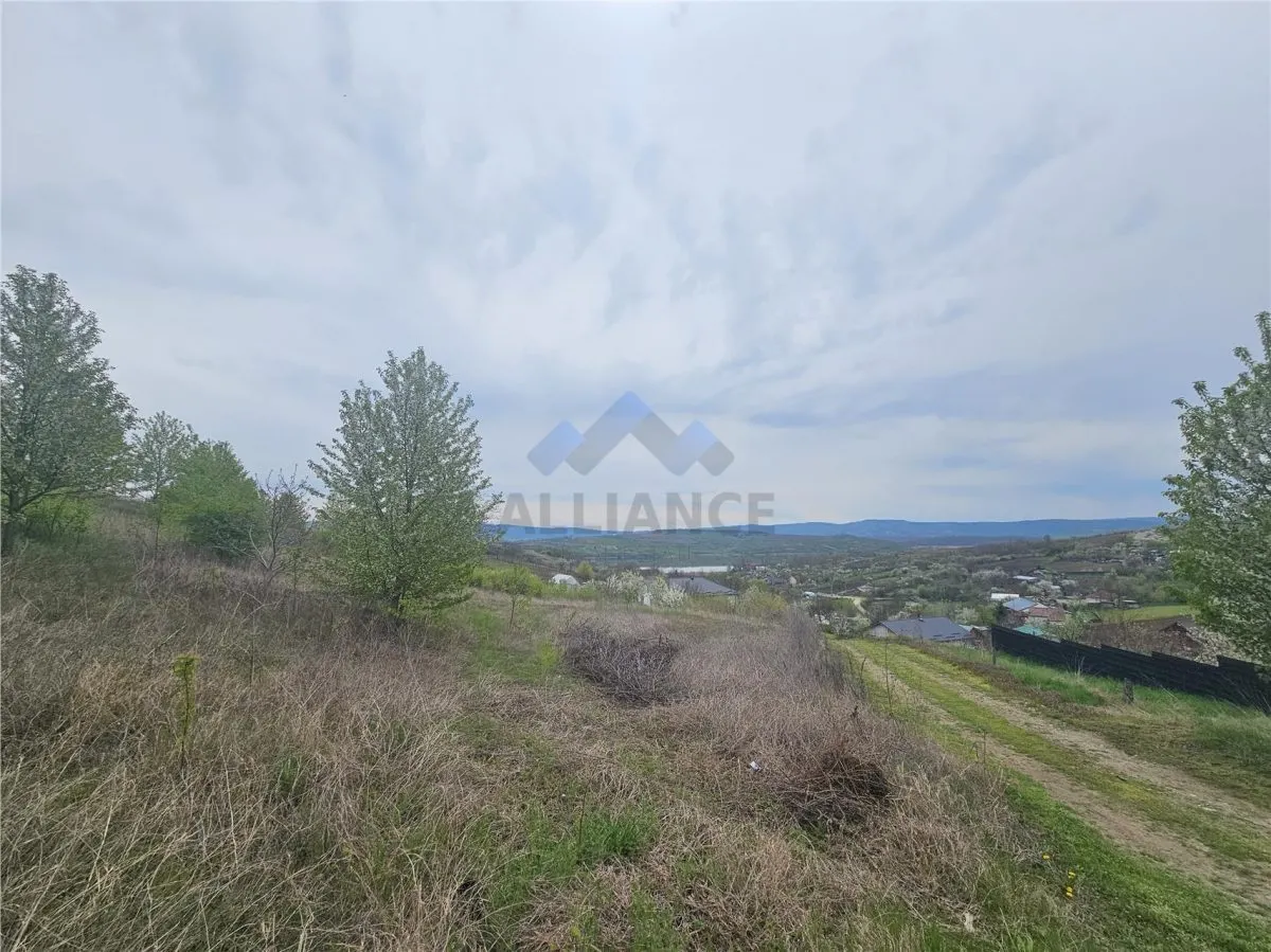 Teren intravilan, priveliste panoramica, Miroslava-Ciurbesti - foto 3