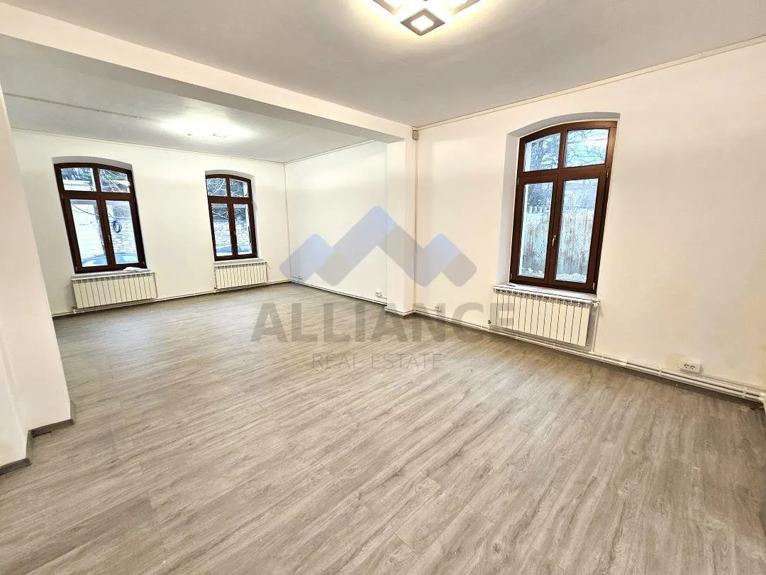 Pietonal Stefan cel Mare, spatiu pentru servicii - foto 4