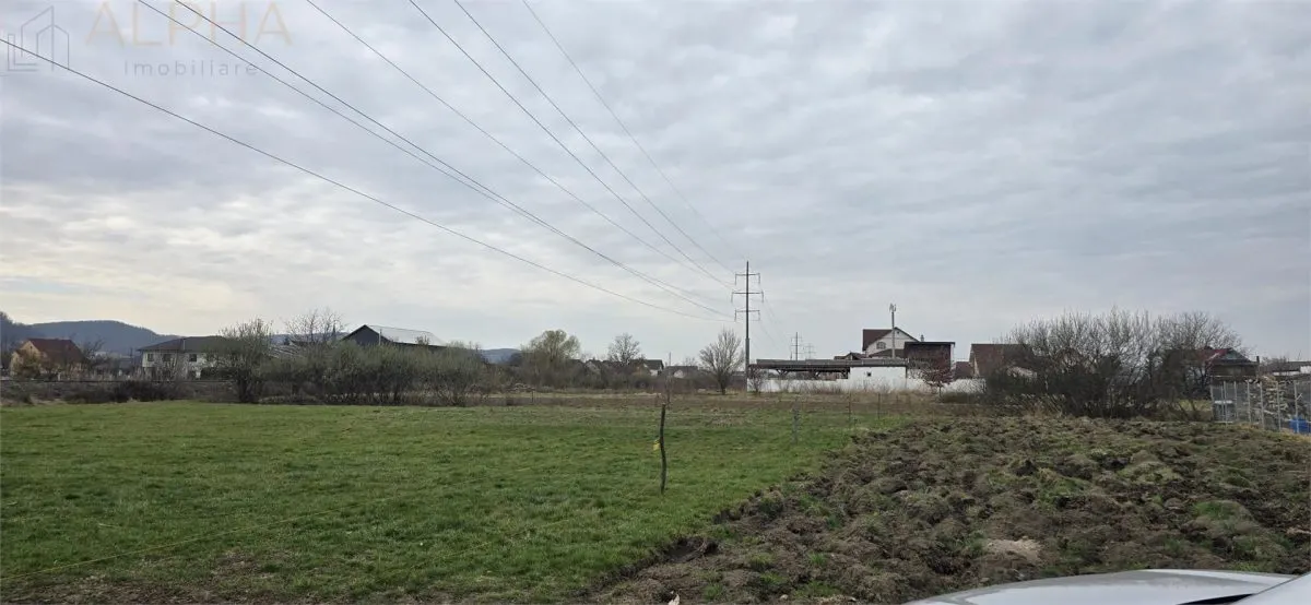 Teren intravilan 2500 mp - Unirea, Str. Platanilor - foto 1