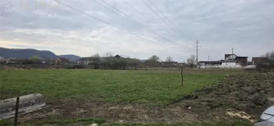 Teren intravilan 2500 mp - Unirea, Str. Platanilor - foto 2