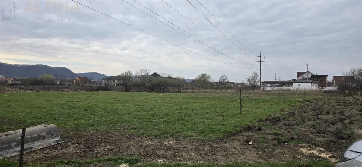 Teren intravilan 2500 mp - Unirea, Str. Platanilor - foto 2