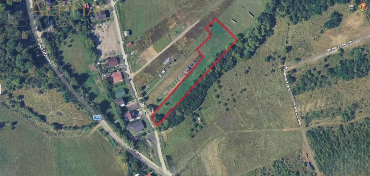 Teren extravilan la limita cu intravilan – Strada Tarpiului, Bistrita - foto 1