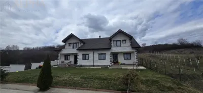 Duplex premium cu 2 apartamente – Viisoara, Bistrita, BN - Viisoara