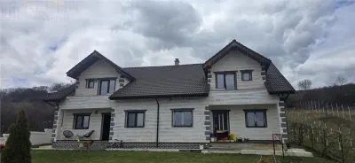 Duplex premium cu 2 apartamente – Viisoara, Bistrita, BN - foto 2