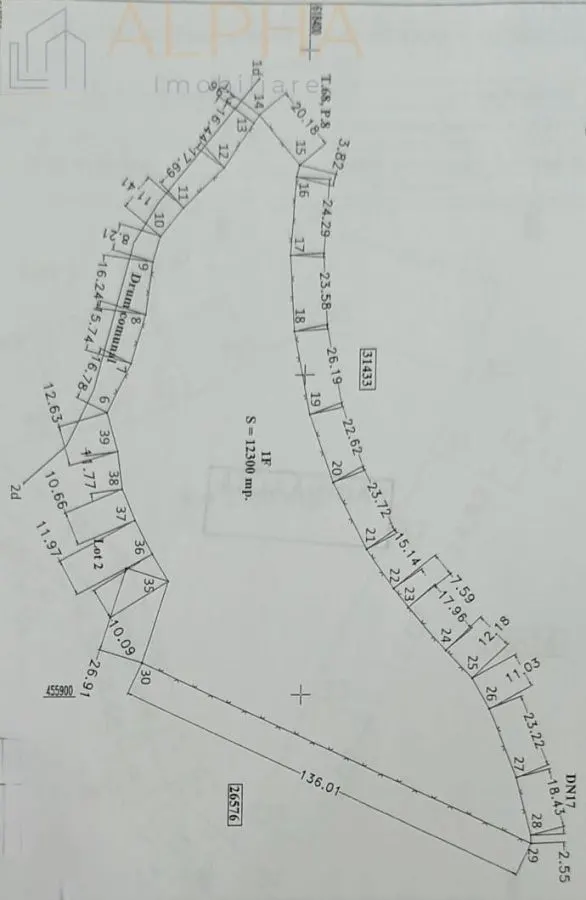 Teren intravilan 12.300 mp – oportunitate investitie industriala/comerciala –BN, Crainimăt, DN17 / E58 - foto 4