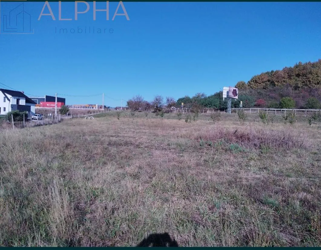 Teren intravilan 12.300 mp – oportunitate investitie industriala/comerciala –BN, Crainimăt, DN17 / E58 - foto 5