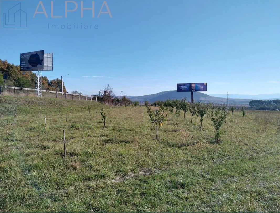 Teren intravilan 12.300 mp – oportunitate investitie industriala/comerciala –BN, Crainimăt, DN17 / E58 - foto 6