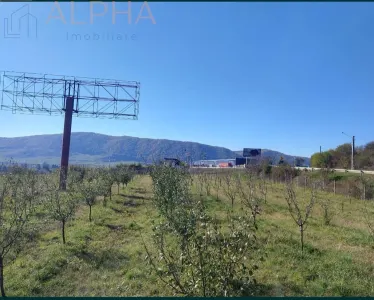 Teren intravilan 12.300 mp – oportunitate investitie industriala/comerciala –BN, Crainimăt, DN17 / E58 - foto 7