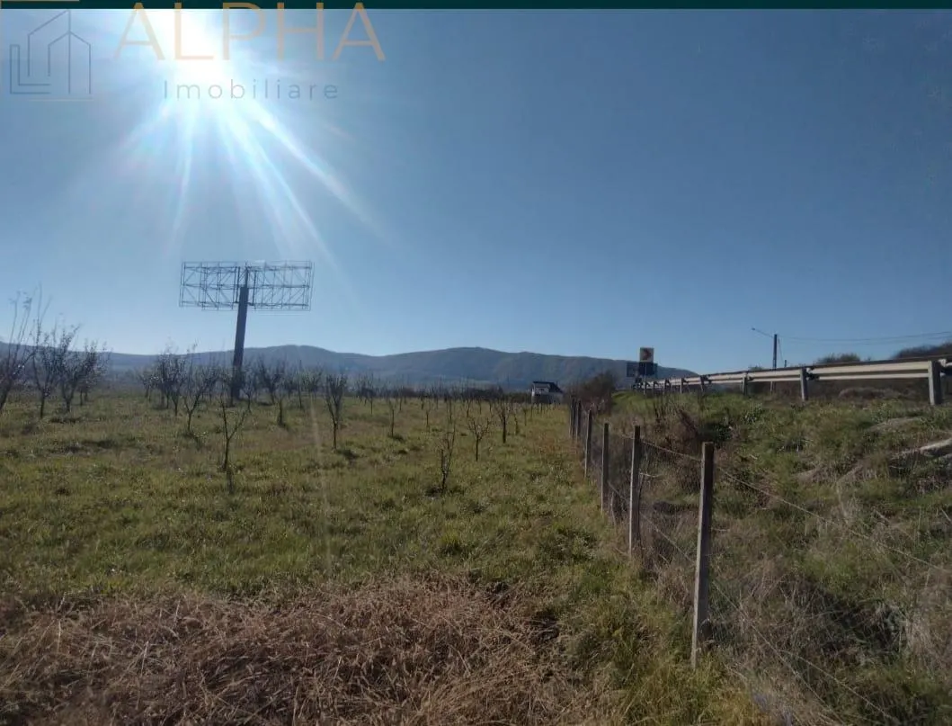 Teren intravilan 12.300 mp – oportunitate investitie industriala/comerciala –BN, Crainimăt, DN17 / E58 - foto 8