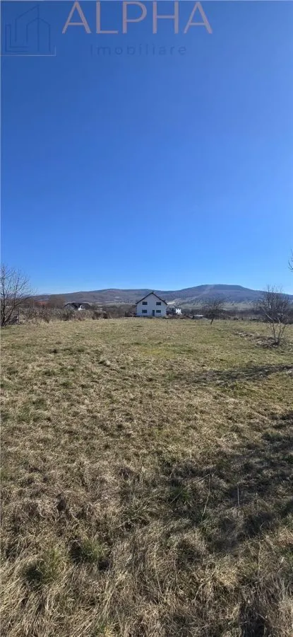 Teren intravilan 1.250 mp – Unirea, BN - foto 4