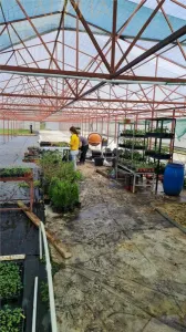AFACERE LA CHEIE – HALA PRODUCTIE + SERA PROFESIONALA - foto 11