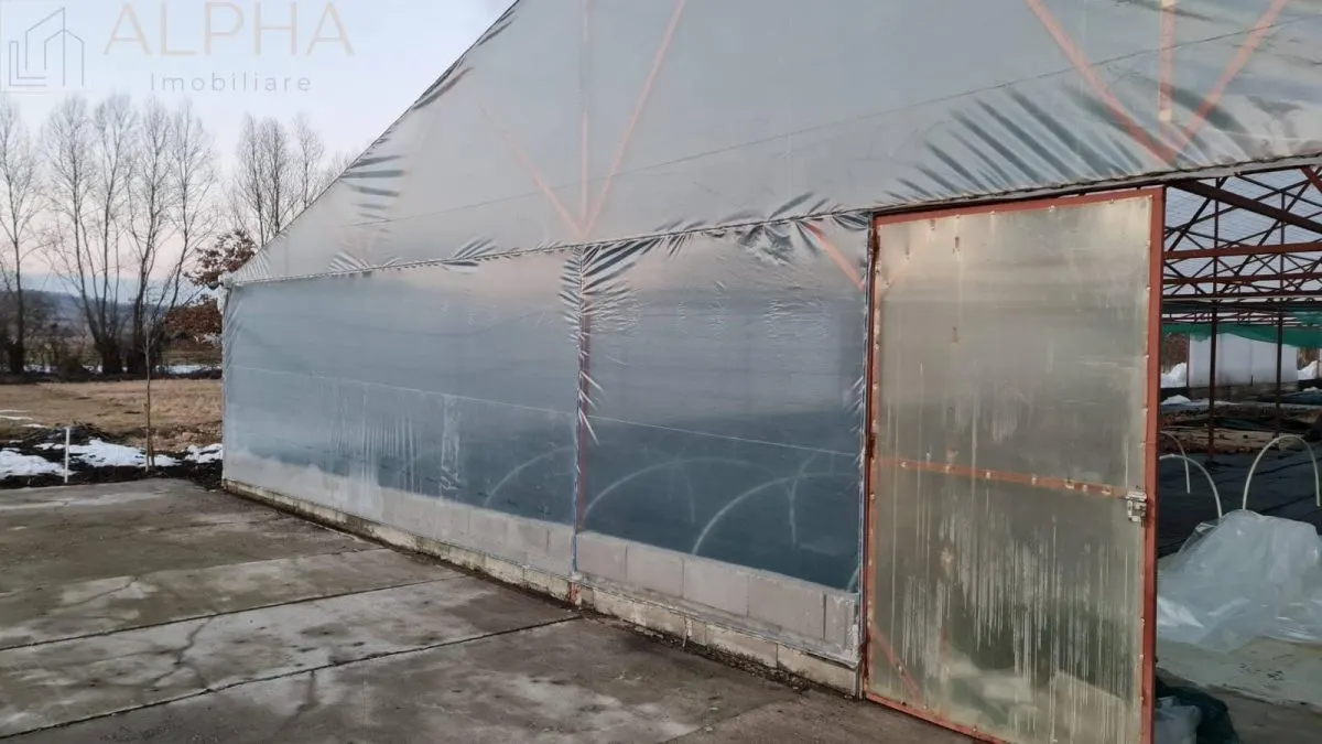 AFACERE LA CHEIE – HALA PRODUCTIE + SERA PROFESIONALA - foto 12