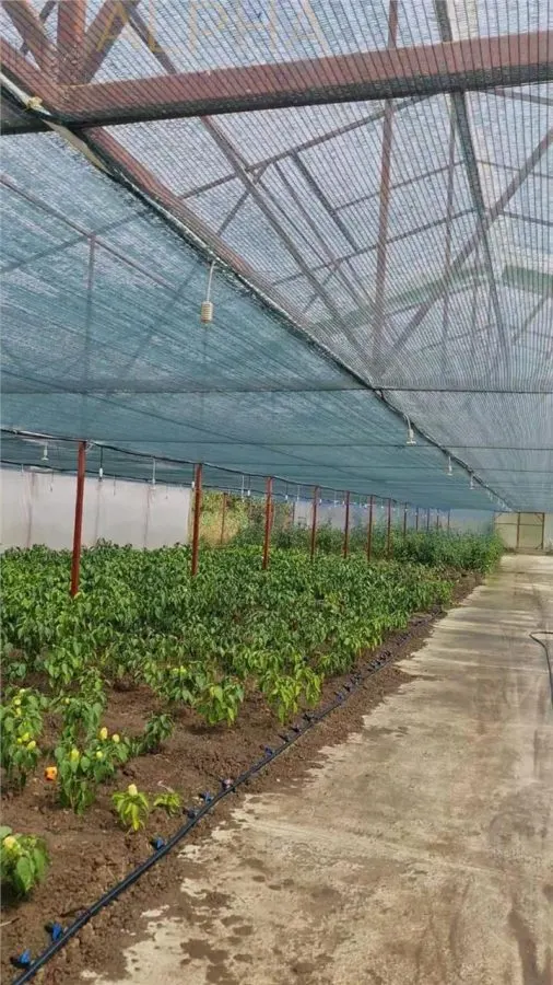 AFACERE LA CHEIE – HALA PRODUCTIE + SERA PROFESIONALA - foto 13