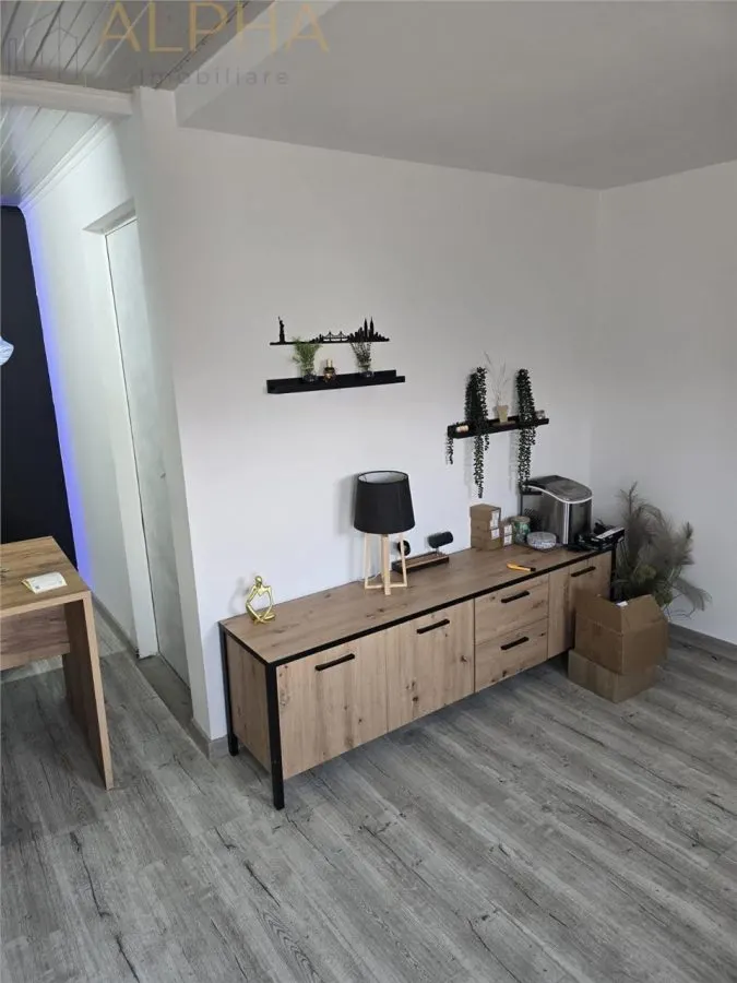 AFACERE LA CHEIE – HALA PRODUCTIE + SERA PROFESIONALA - foto 3