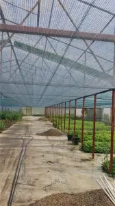AFACERE LA CHEIE – HALA PRODUCTIE + SERA PROFESIONALA - foto 6