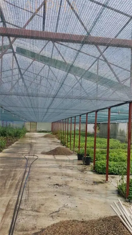 AFACERE LA CHEIE – HALA PRODUCTIE + SERA PROFESIONALA - foto 6