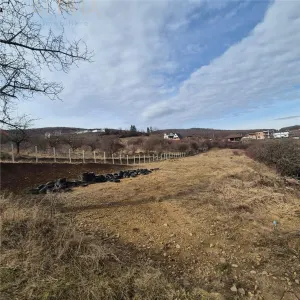 Teren  extravilan de vanzare â€“ Bistrita, Valea Rusului - Bistrita