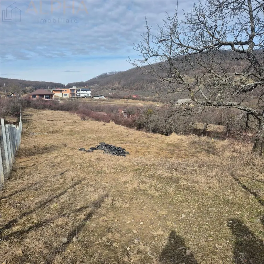 Teren  extravilan de vanzare – Bistrita, Valea Rusului - foto 2