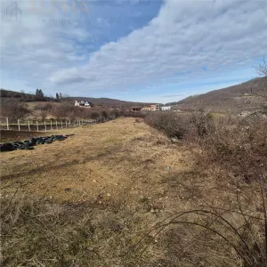 Teren  extravilan de vanzare – Bistrita, Valea Rusului - foto 5