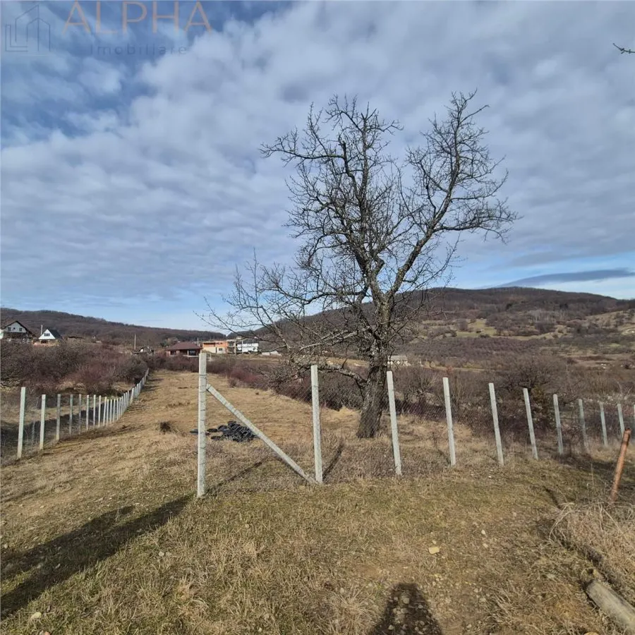 Teren  extravilan de vanzare – Bistrita, Valea Rusului - foto 6