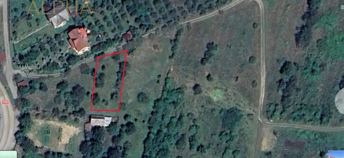 Teren  extravilan de vanzare – Bistrita, Valea Rusului - foto 7