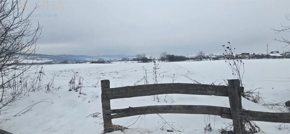 Teren intravilan de vanzare – Jelna, jud. B-N - foto 4