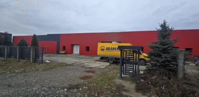 Hala industriala de vanzare sau inchiriere - Livezile, BN - Livezile