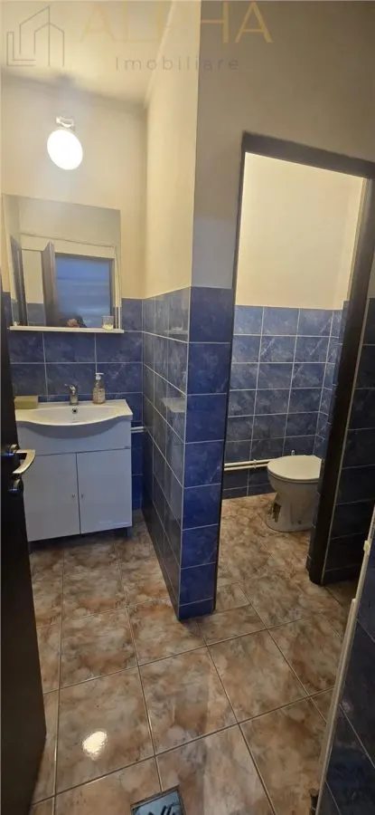 Hala industriala de vanzare sau inchiriere - Livezile, BN - foto 14