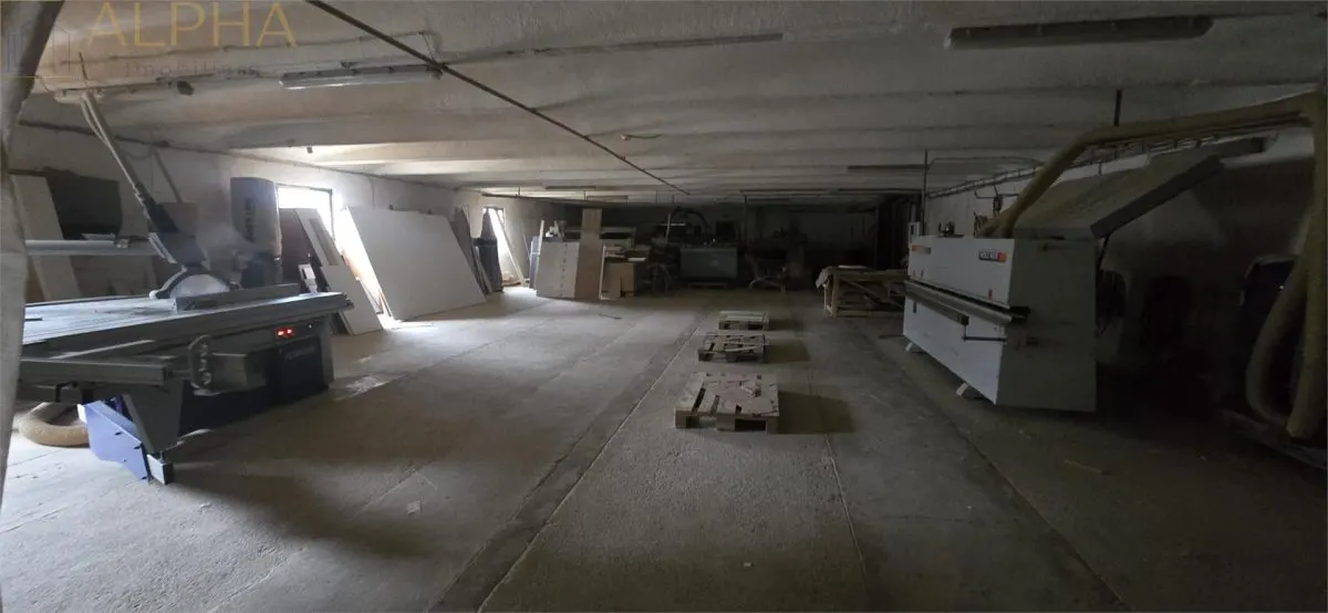 Hala industriala de vanzare sau inchiriere - Livezile, BN - foto 19