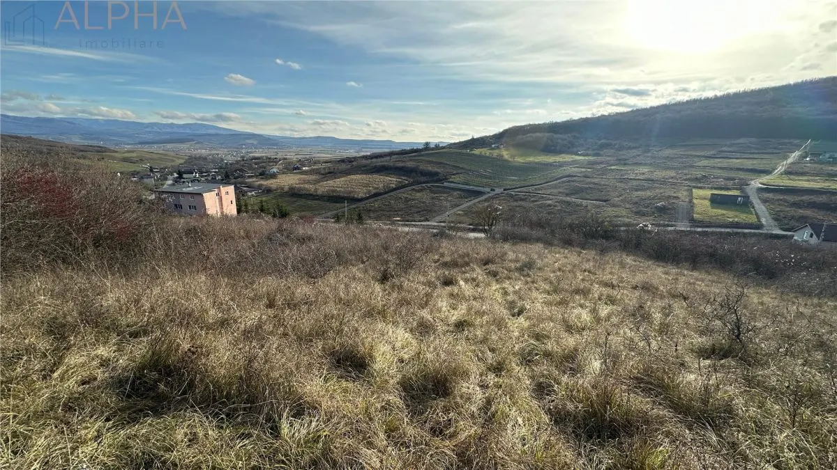 Teren Intravilan Dealu Jelnei - 15.2 ari - foto 4
