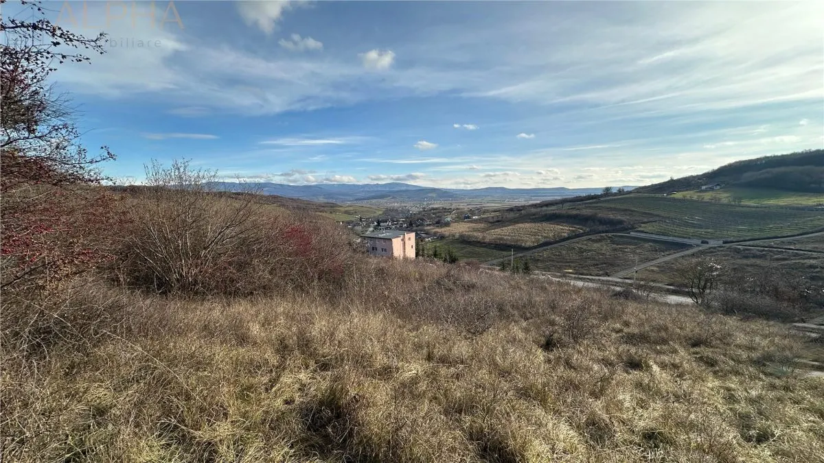 Teren Intravilan Dealu Jelnei - 15.2 ari - foto 5