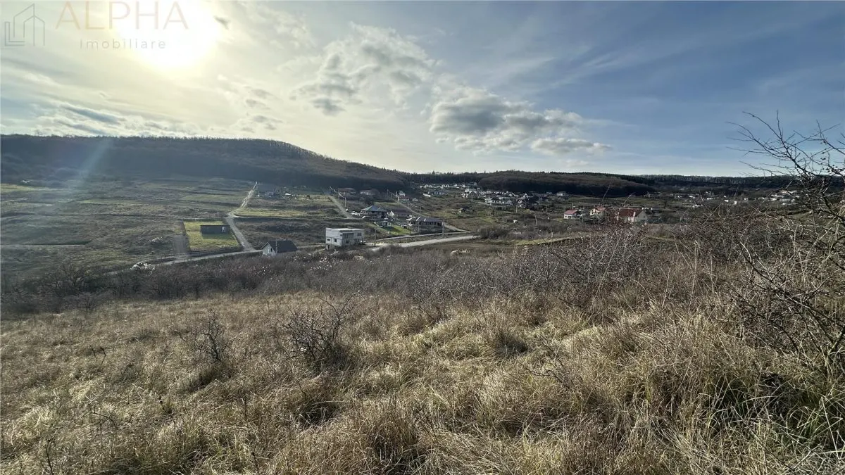 Teren Intravilan Dealu Jelnei - 15.2 ari - foto 7