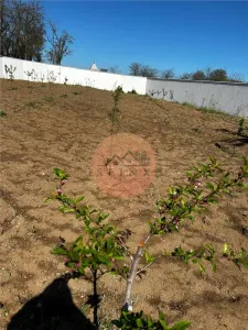 Casa Garvan - foto 18