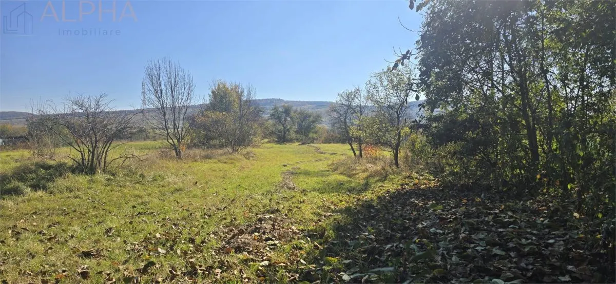 Casa saseasca autentica, Livezile – Jud Bistrita-Nasaud - foto 11