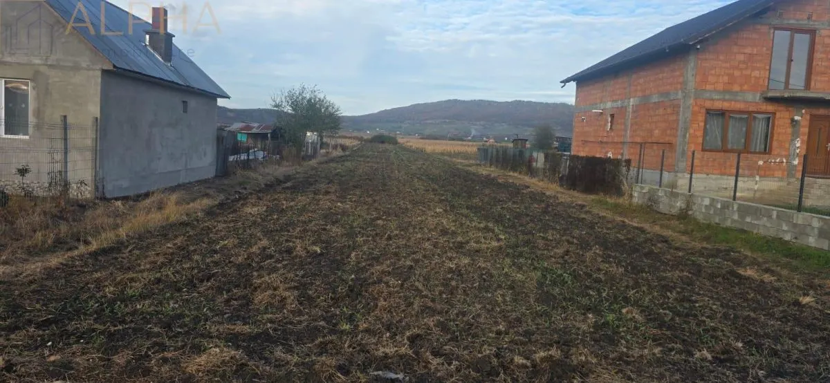 Teren intravilan de vanzare - Chintelnic, Jud. Bistrita-Nasaud - foto 1