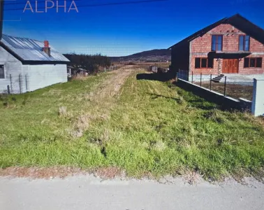 Teren intravilan de vanzare - Chintelnic, Jud. Bistrita-Nasaud - foto 2