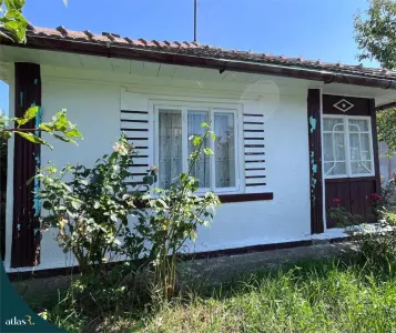 Teren intravilan - 1.248 mp + casa batraneasca 60 mp | Paun  Barnova | 60.000 â‚¬ - foto 3