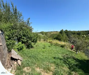 Teren intravilan - 1.248 mp + casa batraneasca 60 mp | Paun  Barnova | 60.000 â‚¬ - foto 6