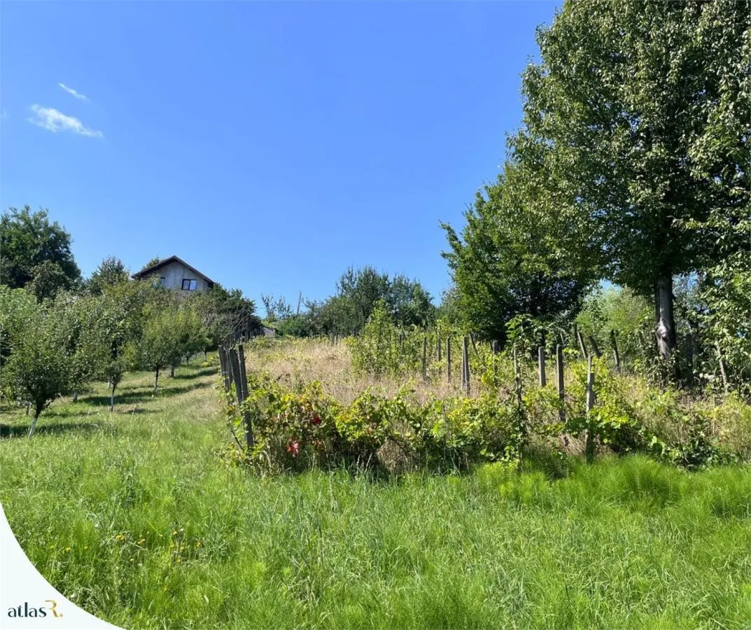 Teren intravilan - 1.248 mp + casa batraneasca 60 mp | Paun  Barnova | 60.000 â‚¬ - foto 7