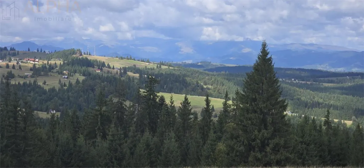 Teren intravilan cu priveliste spectaculoasa - Piatra Fantanele - foto 1