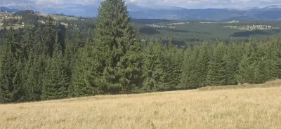 Teren intravilan cu priveliste spectaculoasa - Piatra Fantanele - foto 4