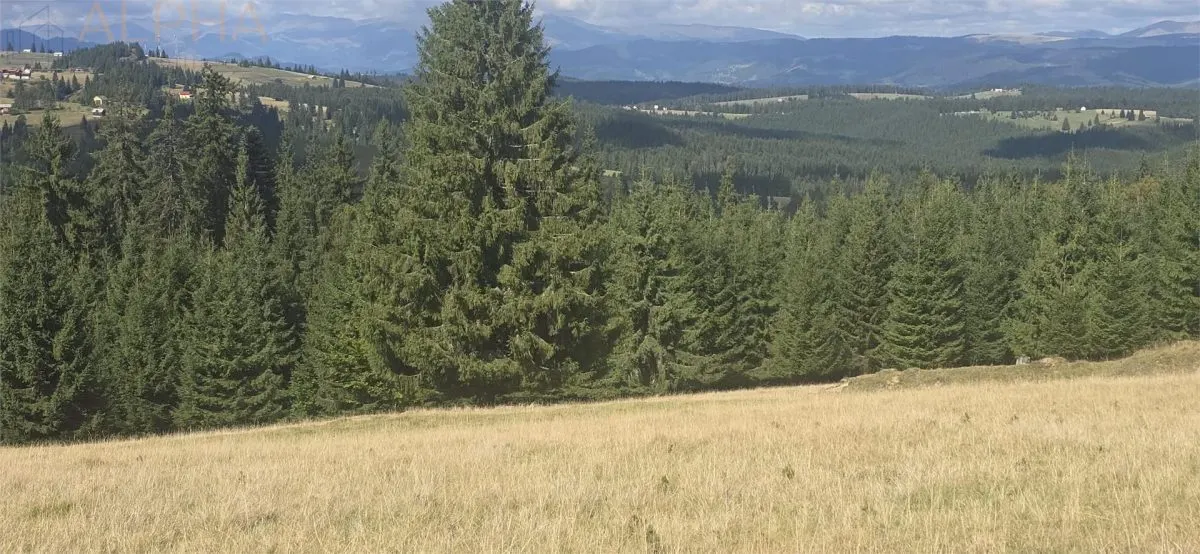 Teren intravilan cu priveliste spectaculoasa - Piatra Fantanele - foto 4
