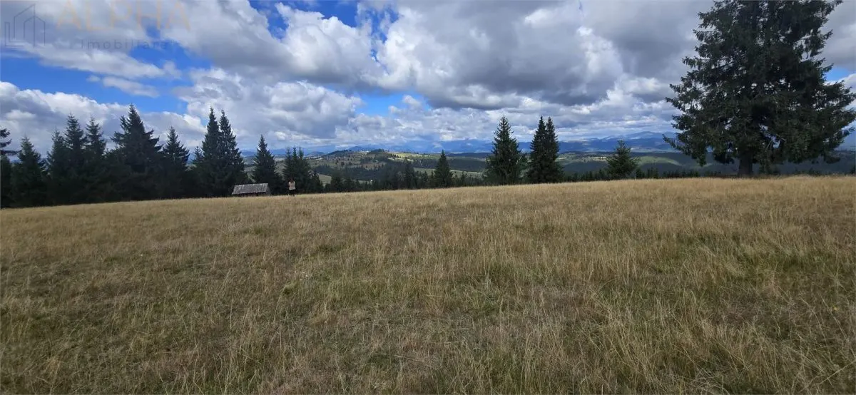 Teren intravilan cu priveliste spectaculoasa - Piatra Fantanele - foto 5