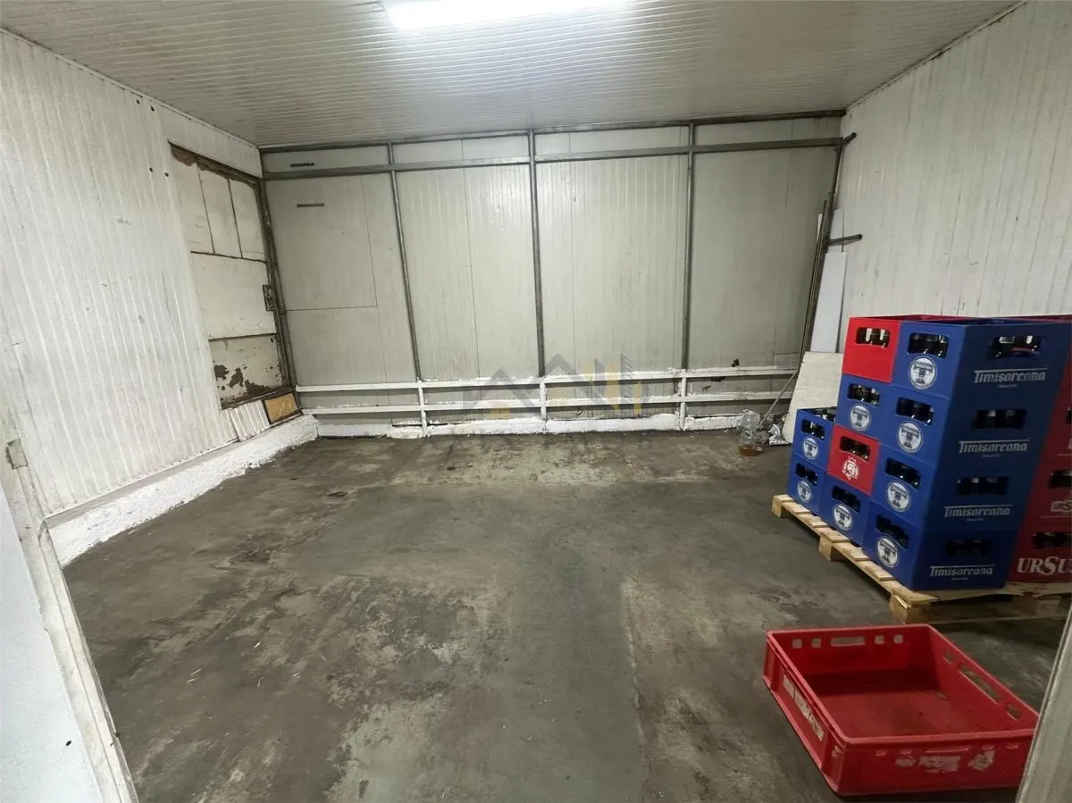 SPATIU COMERCIAL ,TRANSILVANIEI - foto 2